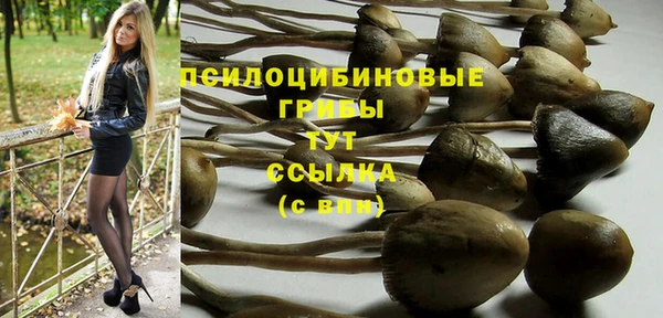 соль ск Майский