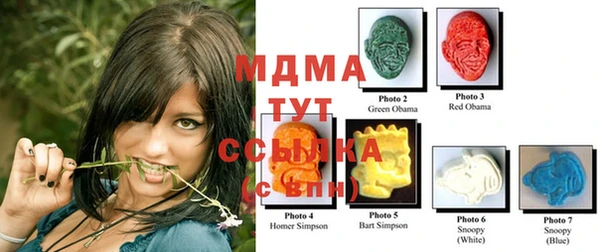гидропоника Магас