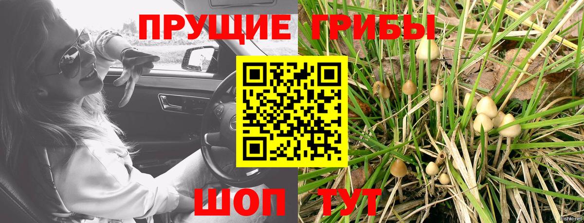 Псилоцибиновые грибы Psilocybe  Галлюциногенные грибы мухоморы  купить наркоту  Вход с VPN  Чапаевск 