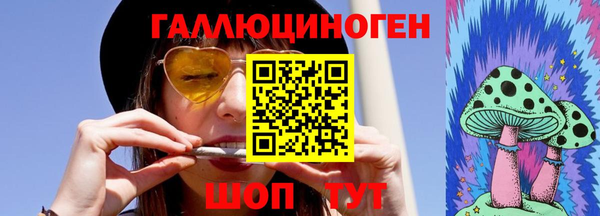 Псилоцибиновые грибы Psilocybine cubensis Чапаевск