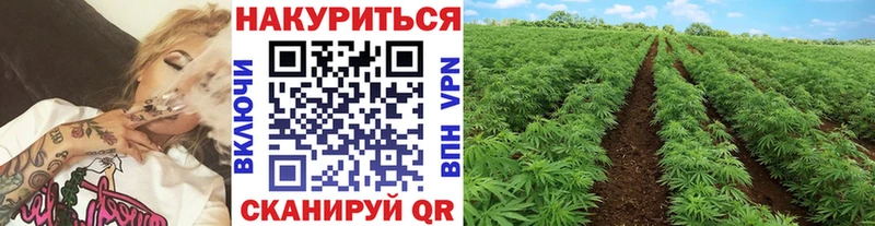 Марихуана VHQ  площадка клад  Чапаевск  OMG ССЫЛКА 